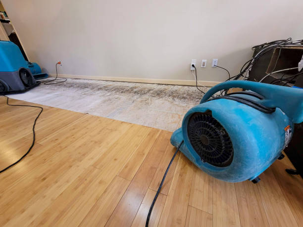 Professional Flood Damage Cleanup technician working in Easthampton, MA